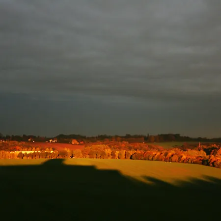 ホテル Hotel Meerane 4*