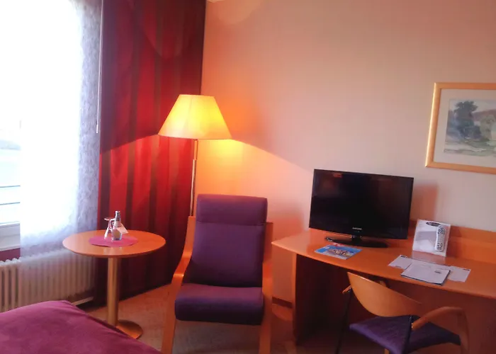 فندق Hotel Meerane